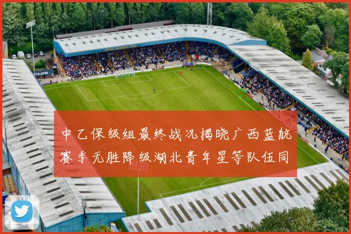 中乙保级组最终战况揭晓广西蓝航赛季无胜降级湖北青年星等队伍同遭降级
