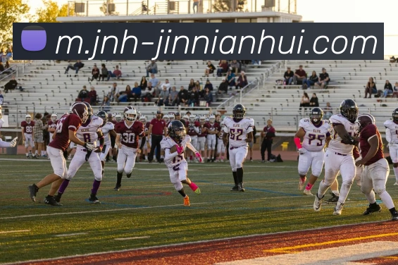 今年会官网服务体系